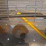 hamster cage Image 3