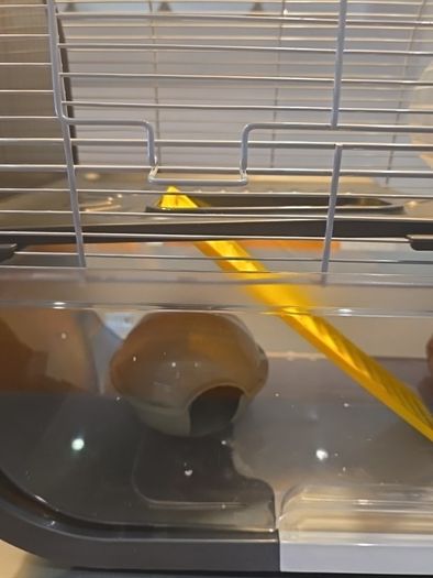 hamster cage