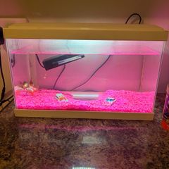 White fish tank