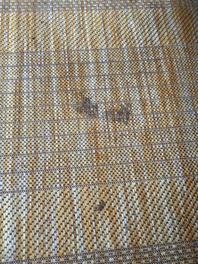 Outdoor Rug
