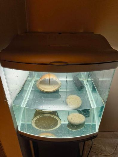 ORCA Fish Tank 90ltr