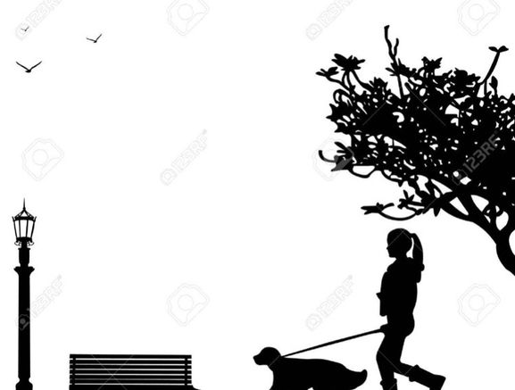 Dog Minder/Walker Available