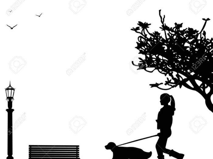 Dog Minder/Walker Available