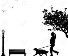 Dog Minder/Walker Available