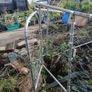 dog/ chicken  run Image 5
