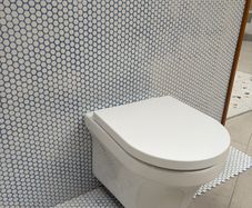 Wall hung toilet & frame