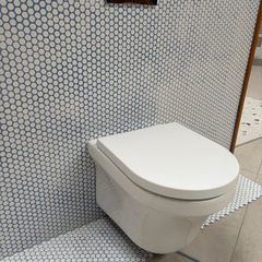 Wall hung toilet and frame