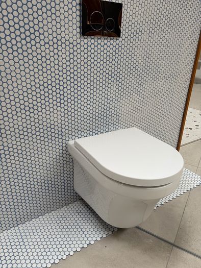 Wall hung toilet & frame