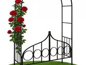 Rose Arch  Powder-Coated Steel