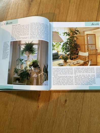 house plants