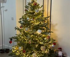 Christmas Tree