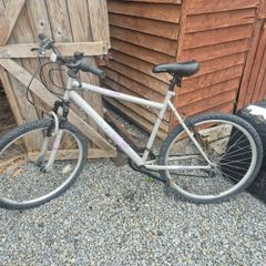 bikes