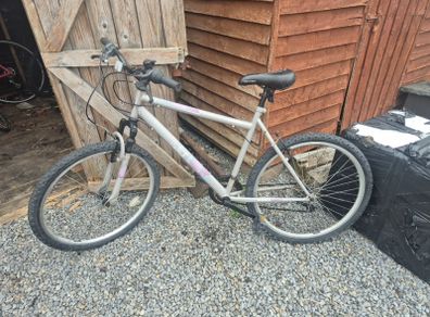 bikes