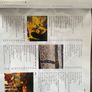 Led Zeppelin - Revealed Image 4