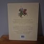 King of Ireland's Son (Hardcover) Image 2