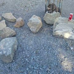 Garden Rockery
