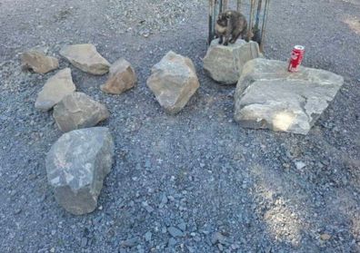Garden Rockery