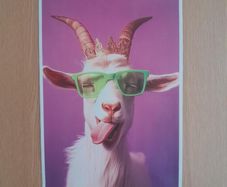 Goat poster