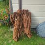 Fish Tank Drift Wood Image 7