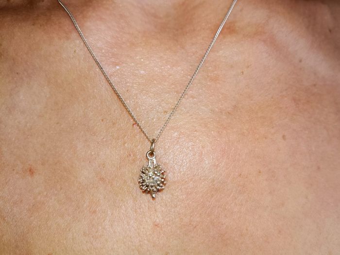 Silver necklace with a hedgehog silver pendant 45cm long chain 925 silver in very good condition with no issues FREE STANDARD POSTAGE INCLUDED