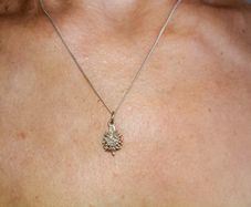 Silver necklace with a hedgehog silver pendant 45cm long chain 925 silver in very good condition with no issues FREE STANDARD POSTAGE INCLUDED
