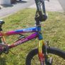 20 inch Verve BMX metallic rainbow bikr Image 6