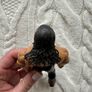 2003 JAKKS Pacific WWE Johnny Nitro John Morrison Wrestling Action Figure WWF Used Please look at the pictures Image 10