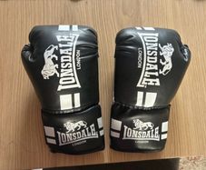 Boxing gloves