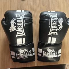 Boxing gloves