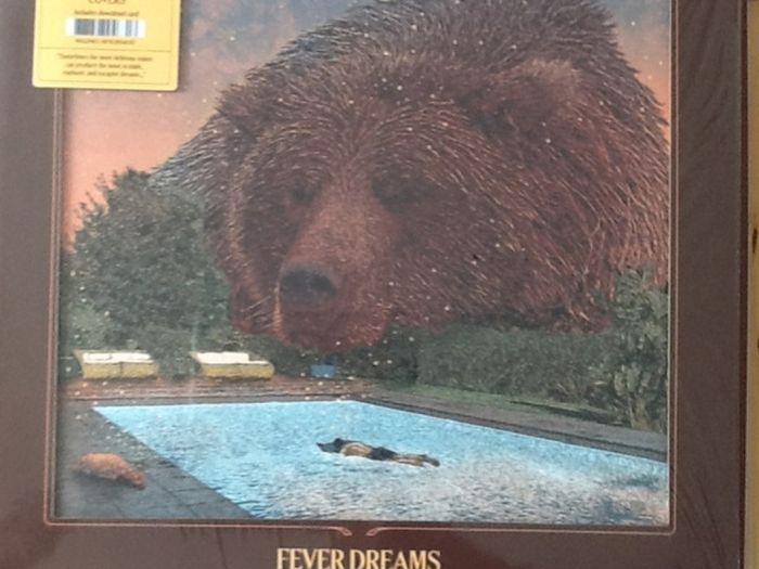 Villagers Fever dream LP green vinyl