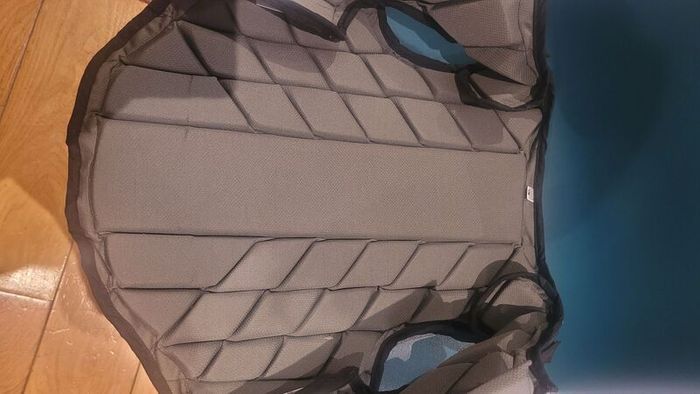 back protector