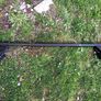 Roof rack bars Image 9