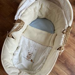 Moses basket