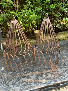 Chimney Bird Guards