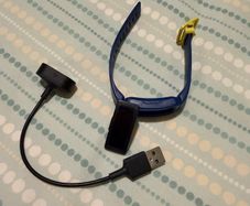 Fitbit Ace 2