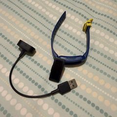 Fitbit Ace 2