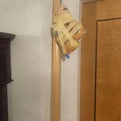 curtain pole