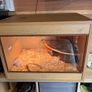 reptile tank , 2 year old , tortoise too big needs to upgrade ! Image 5