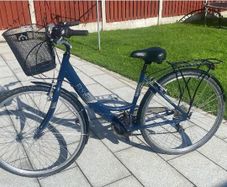 Adult Bike