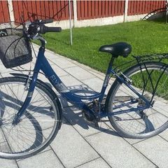 Adult Bike