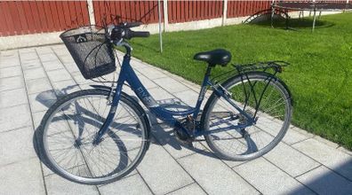 Adult Bike
