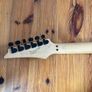Ibanez RG270DX Image 3
