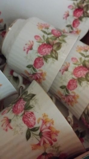 18piece Queens Woman And Home Rosina China Tea Set