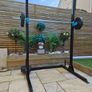 Squat Rack + weights and bench Image 2