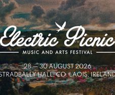 Electric Picnic Socks