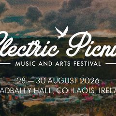 Electric Picnic Socks