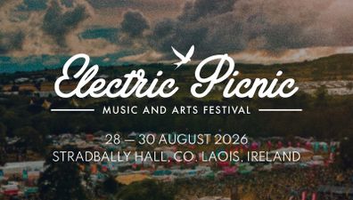 Electric Picnic Socks
