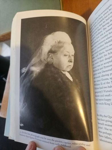 Victoria  A Life.  By A.n.wilson. First Edition Hardback With Dustjacket In Good Condition. See Photos For Same.