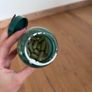 Green Tea Capsules Image 7