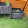 Dark brown plastic raised beds / planters 2 for 40 OR 4 for 70 Image 2